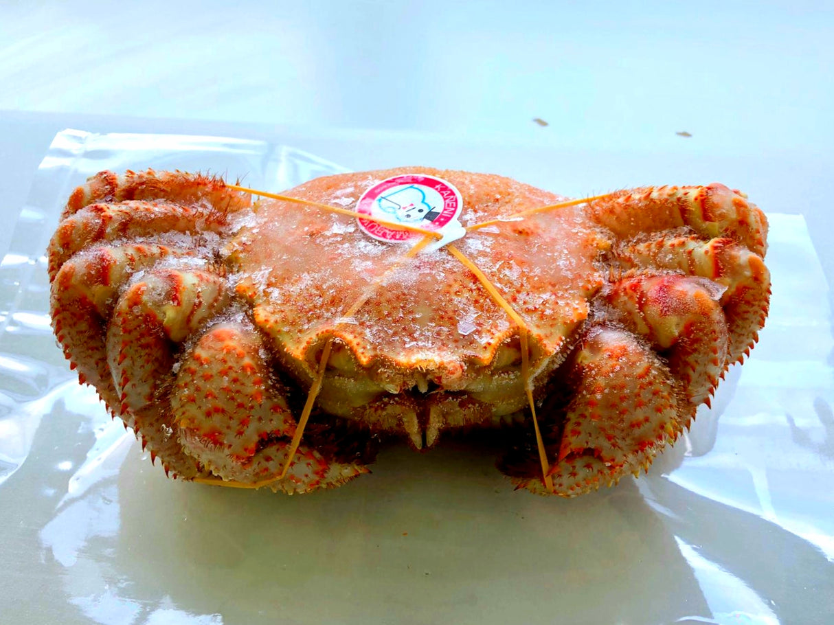 Frozen Whole Boiled Hokkaido Premium Kegani (Horse Hair Crab) 300-350g