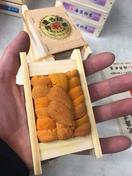 Bafun Uni Micro Box - Bara