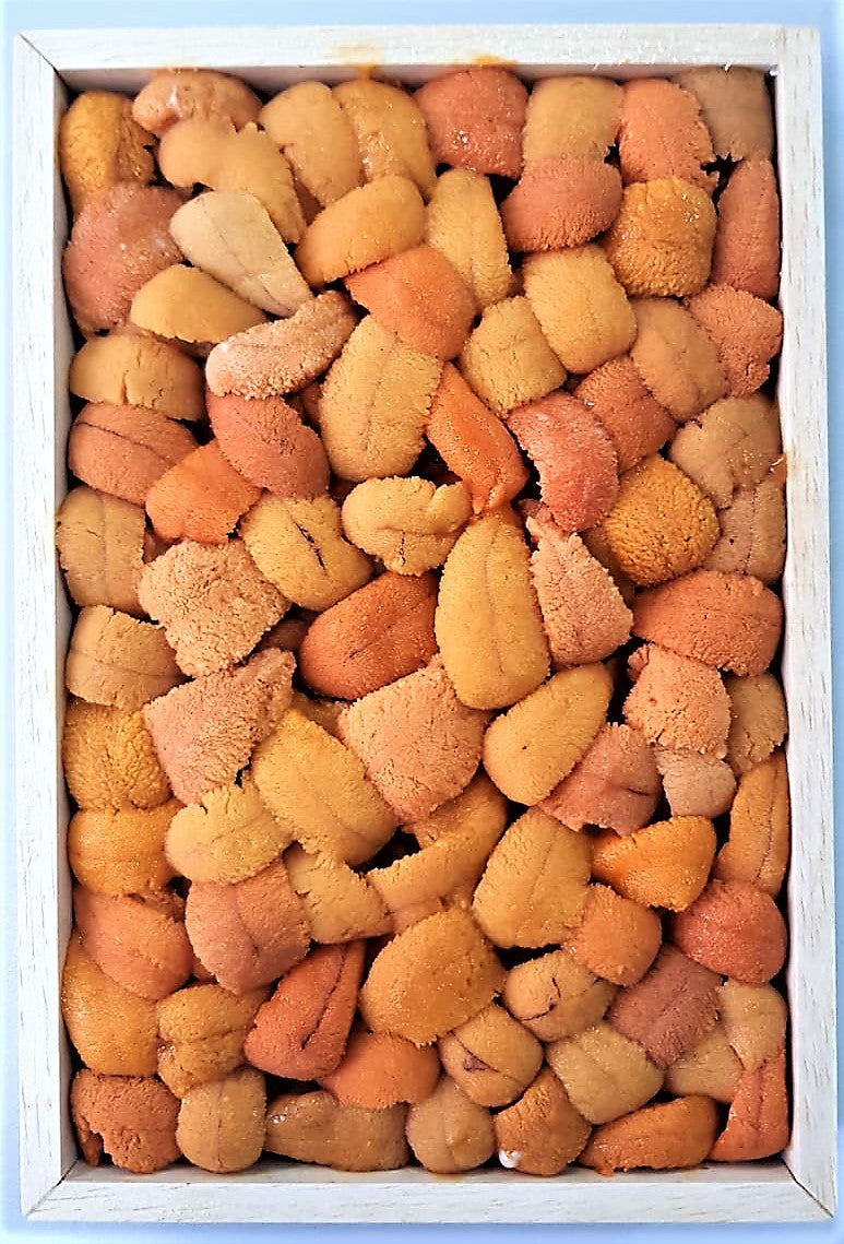 Mixed Bara Bafun uni is one of the most used unis in the market today, chefs all over the world use this uni not only for sashimi but especially for pasta and many other decadent cooked Uni dishes. Hokkaido uni is fatter and creamier in taste than the other uni out in the markets, and because it is a mixed Bara you will get to taste both yellow and red uni at the same time.