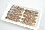 Frozen Mantis Shrimp