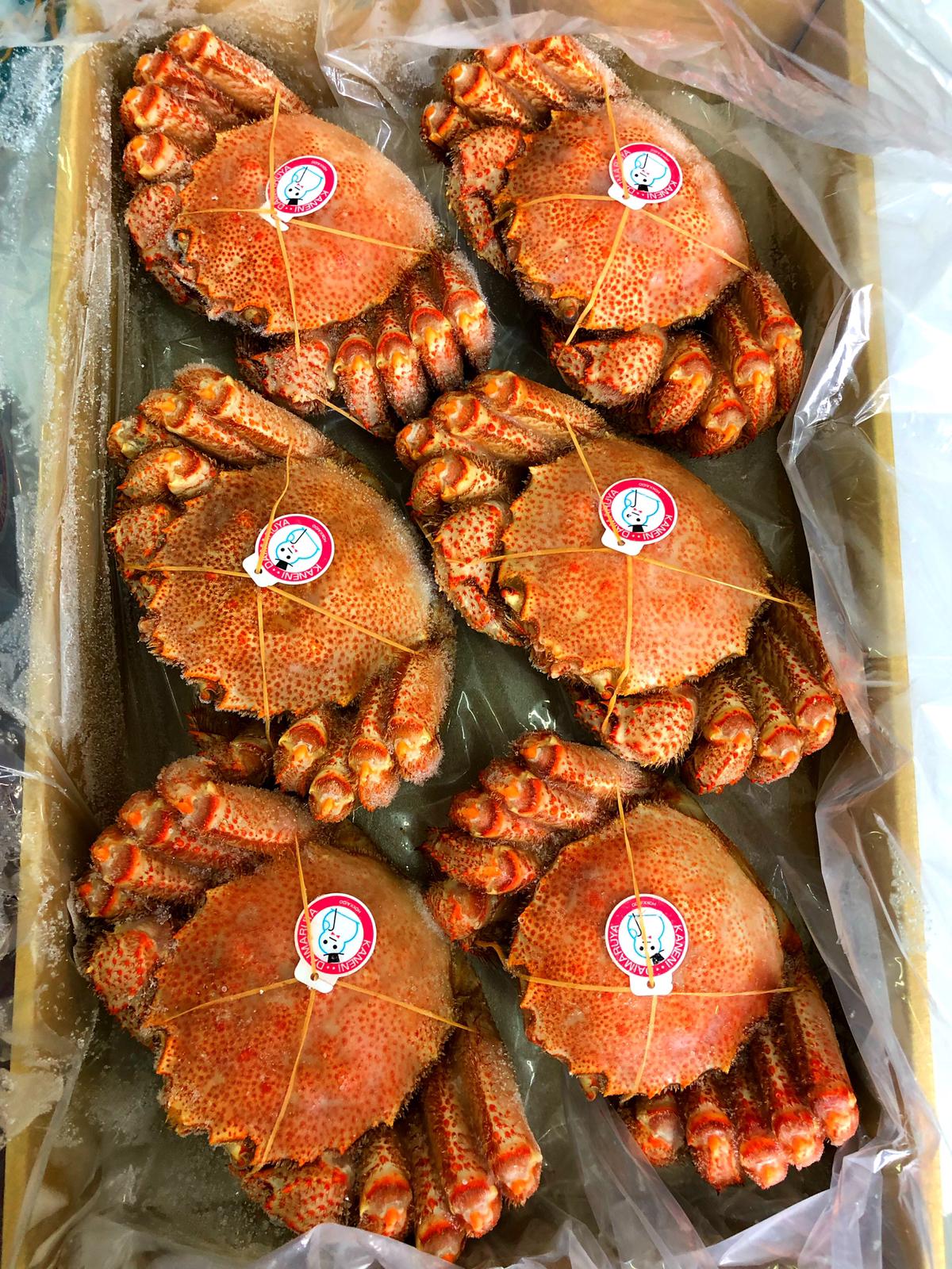 Frozen Whole Boiled Hokkaido Premium Kegani (Horse Hair Crab) 300-350g