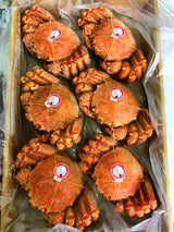 Frozen Whole Boiled Hokkaido Premium Kegani (Horse Hair Crab)