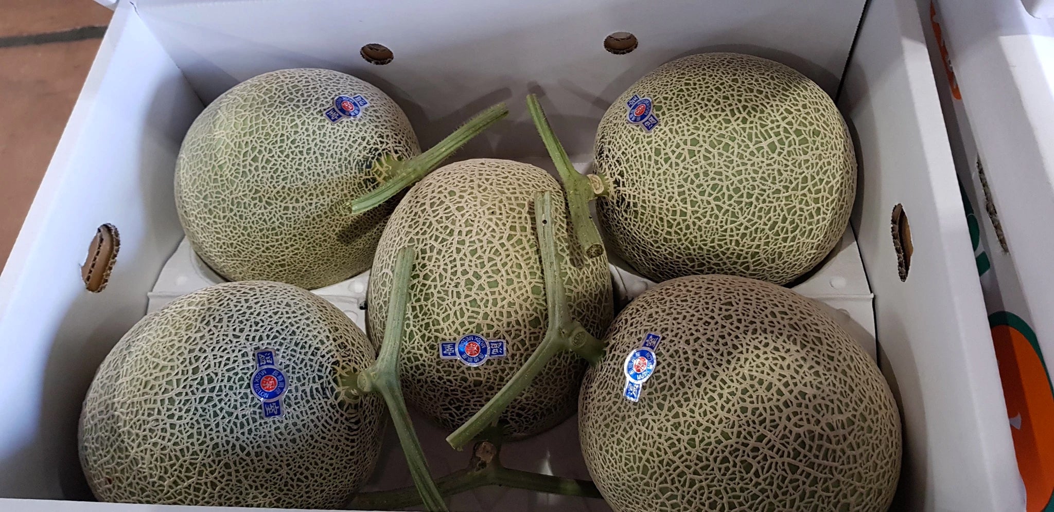 Shiki Singapore | Japanese Fruit Delivery: Kyushu Musk Melon