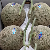 Kyushu Kumamoto Musk Melon マスクメロン