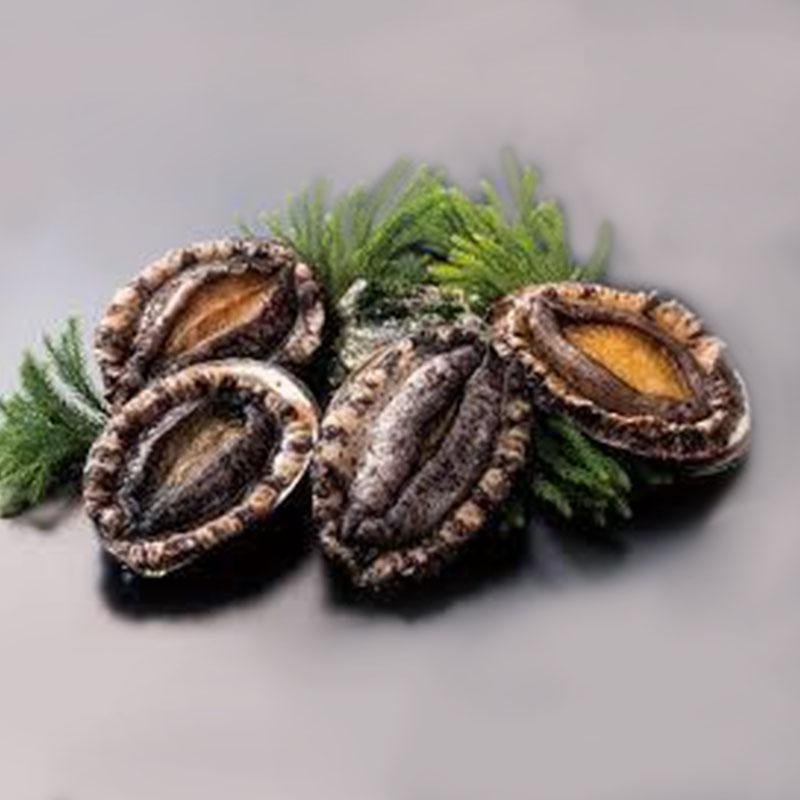 *Pre-Order Only* "Live" Abalone (Awabi)