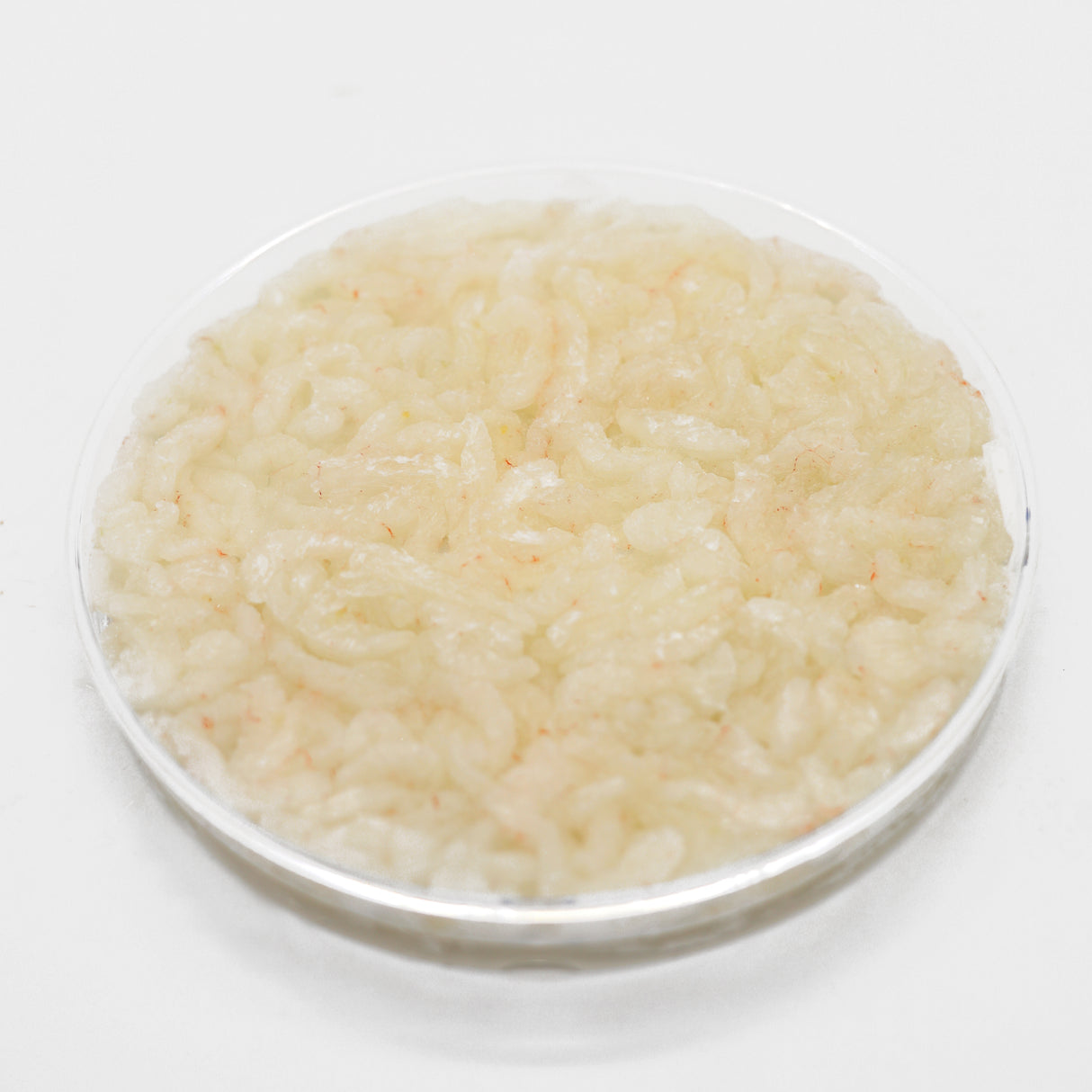 Frozen Sashimi Grade Baby White Shrimp (Shiro Ebi)