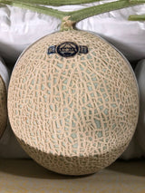 Premium Grade Shizuoka Musk Melon (1.3-1.5kg)