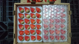 Kyushu Farmed Strawberry (Ichigo) 九州産 いちご 苺