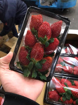 Japanese Strawberry (Ichigo)