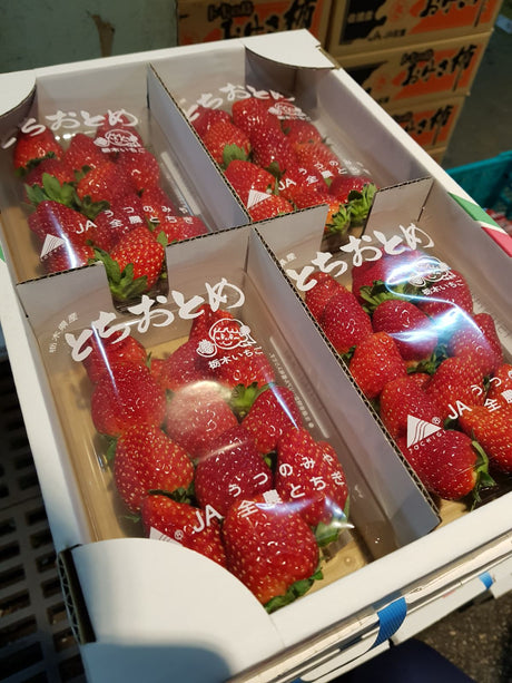 Japanese Strawberry (Ichigo)