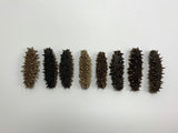 Hokkaido Premium A-Grade Long Spike Dried Sea Cucumber (8pc)