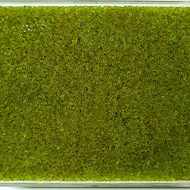 Japanese Green Wasabi Tobiko