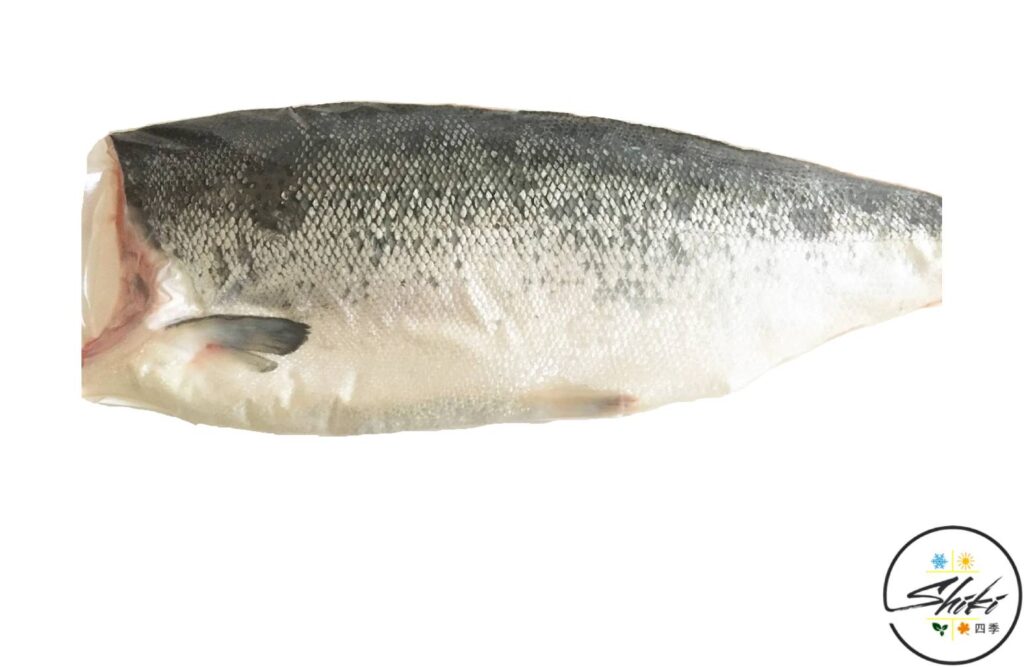 New Zealand Wild Salmon Fillet