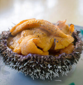 sea urchin or uni in sashimi