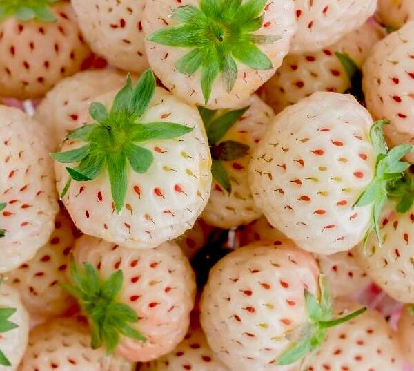 White-Strawberries