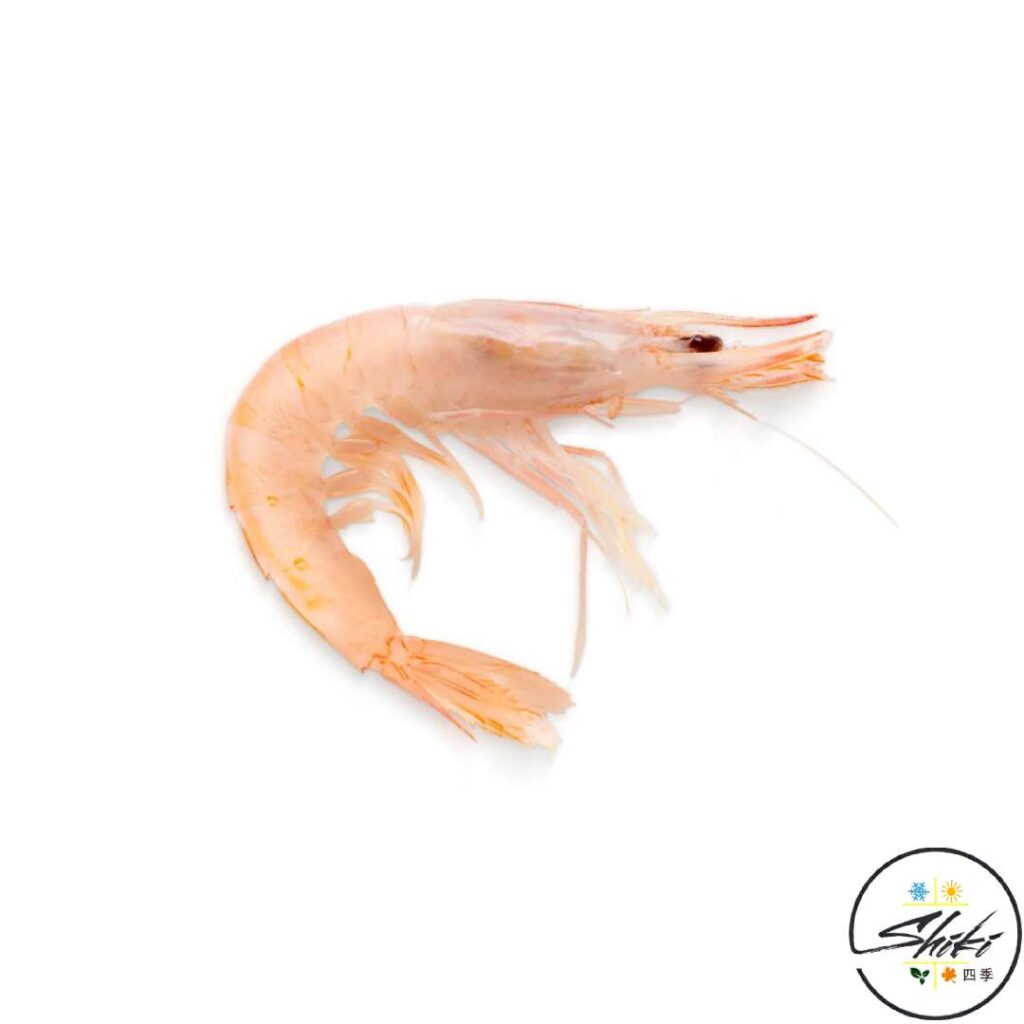 Huelva white shrimp Gamba Blanca